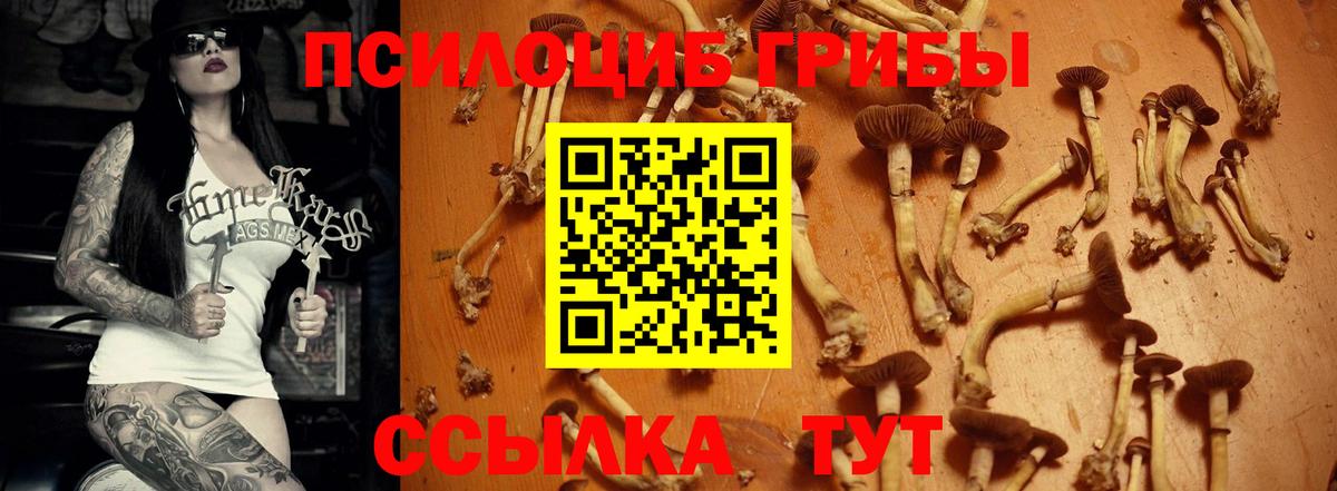 Галлюциногенные грибы MAGIC MUSHROOMS  Вход с VPN  Галлюциногенные грибы MAGIC MUSHROOMS  Дедовск 